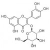 供應(yīng)異槲皮苷  21637-25-2