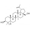 白樺脂醇性質   白樺脂醇供應