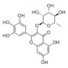 楊梅苷作用  楊梅苷供應(yīng)