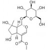 供應山梔苷甲酯  64421-28-9