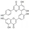 供應(yīng)穗花杉雙黃酮  1617-53-4