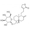 供應新穿心蓮內酯  27215-14-1