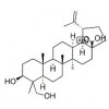 供應23-羥基白樺酸   85999-40-2