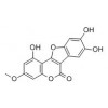 供應蟛蜞菊內酯  524-12-9