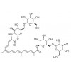 供應西紅花苷  藏紅花素  42553-65-1