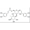 供應類葉升麻苷 毛蕊花糖苷  61276-17-3
