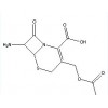 7-ACA（7-氨基頭孢烷酸）