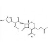 頭孢噻肟鈉|原料藥|價格