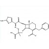 頭孢他啶|原料藥|價格