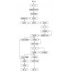 鞏義鉑思特低品位金礦石全泥***化提金工藝，金礦尾渣二次提金設備