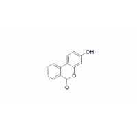 尿石素B